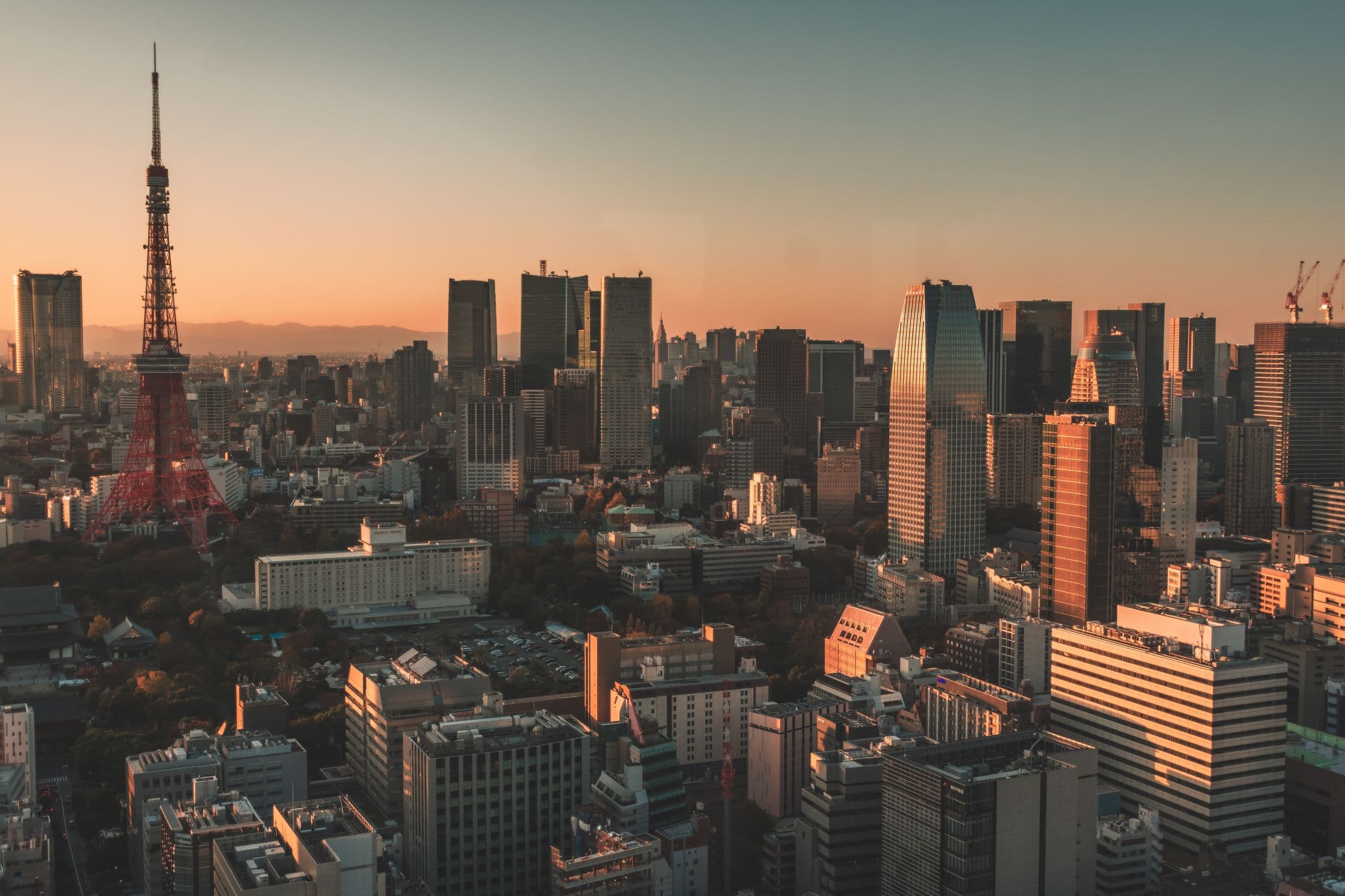 Intensivo de Verano de Tokio