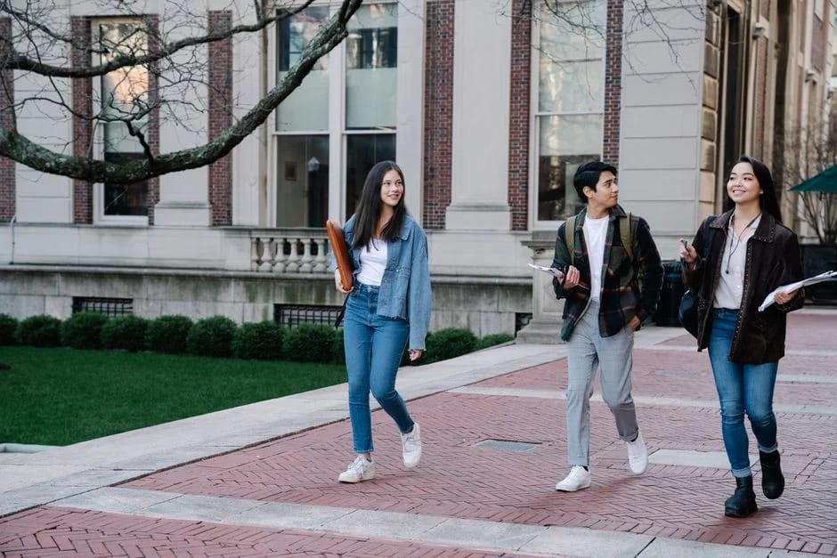 Undergraduate