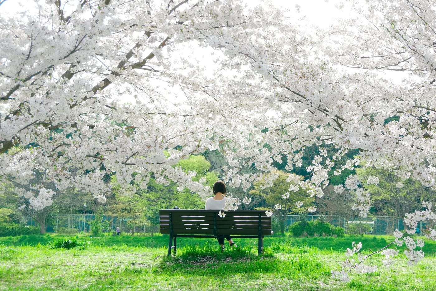 Four Seasons