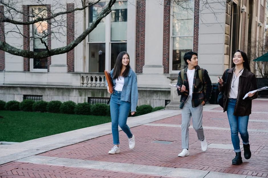 Undergraduate