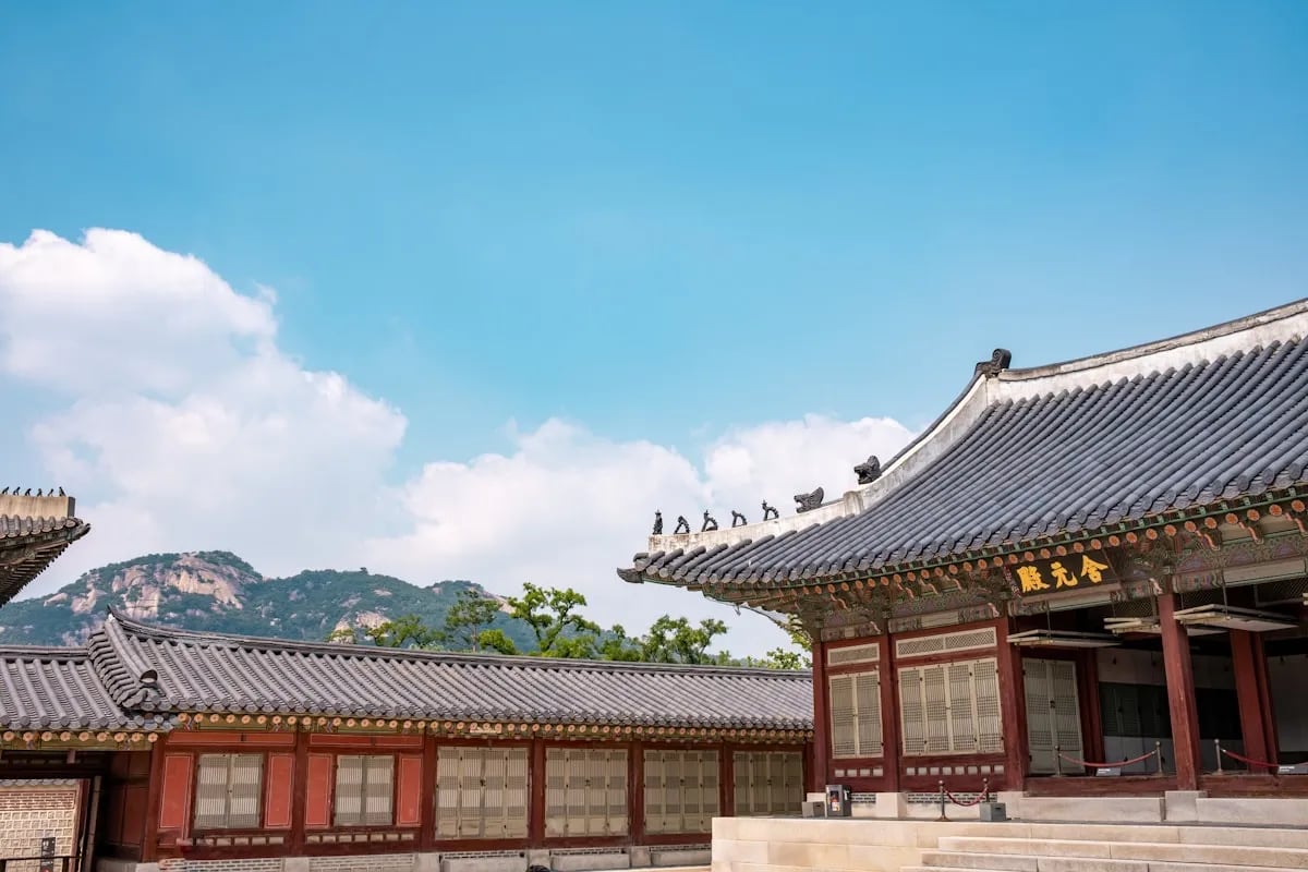 Summer Programs in Korea: 4–8 Week Options for Every Student