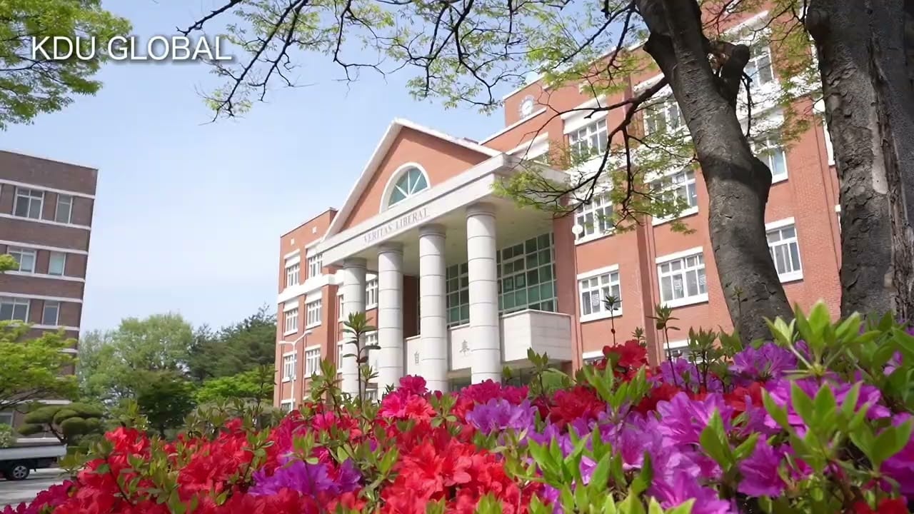 Bachelor of International Business Administration - image 1