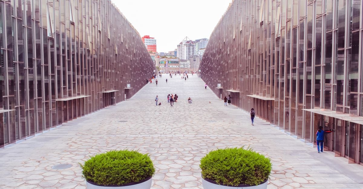 CKU Undergraduate Pathway — Undeclared Major