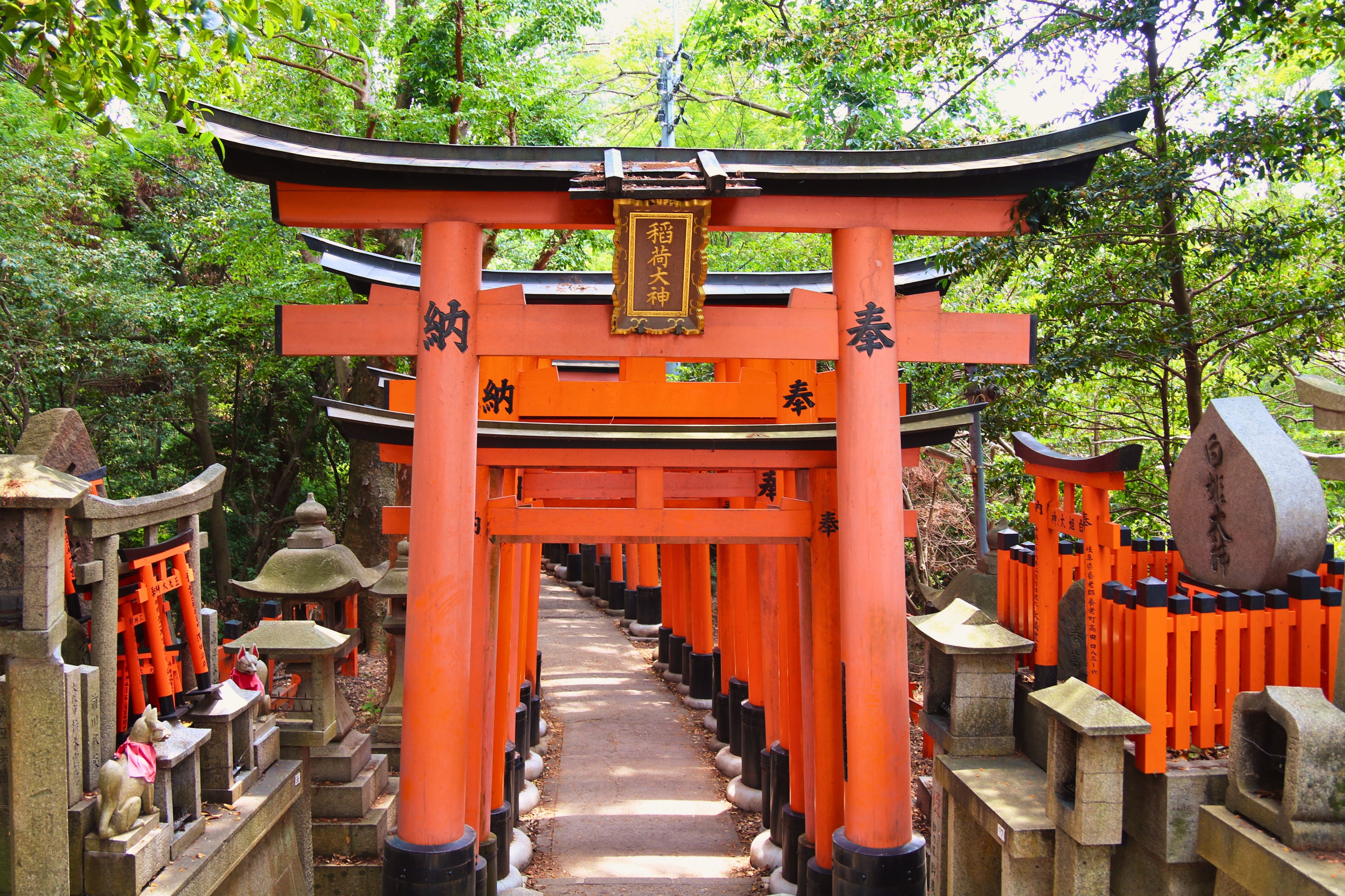 Kyoto Cultural Immersion