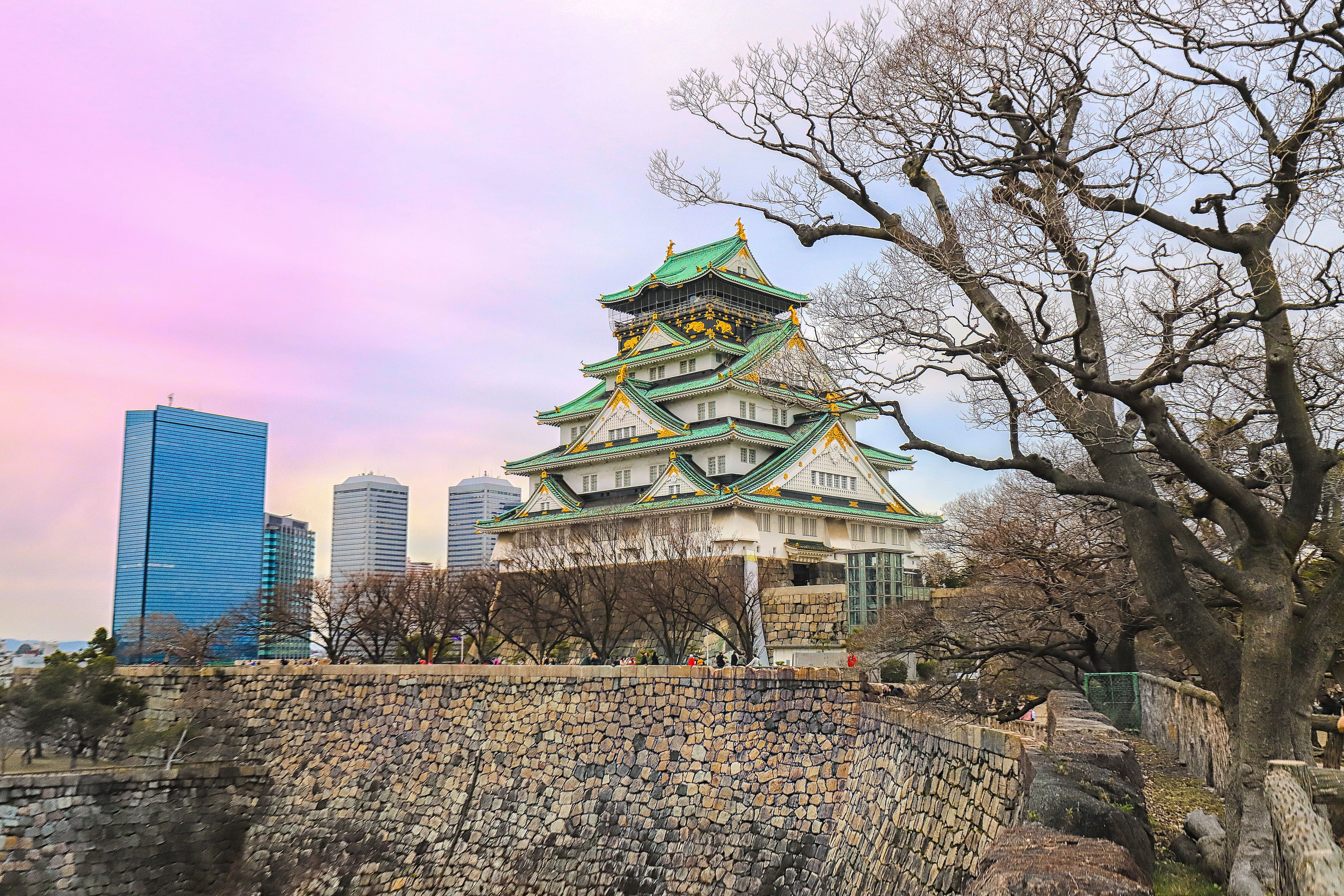 TEFL Osaka — Kansai Region Program