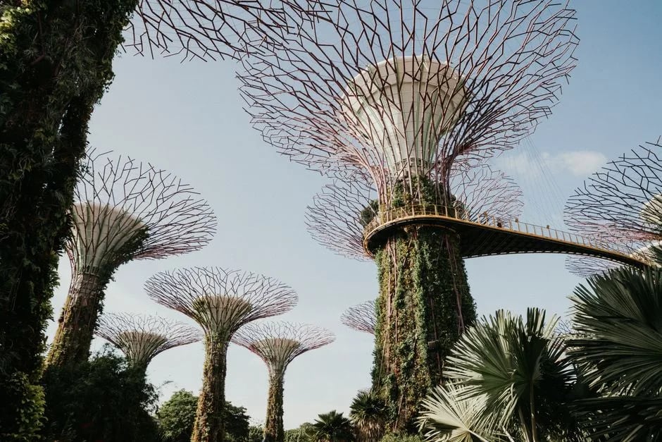 Student Life in Singapore: Hawker Food, Safety & Culture